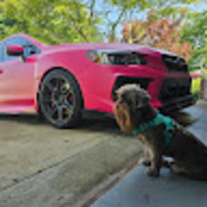 Meet your Posher, Yvonne